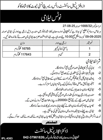 Rice Research Institute Kala Shah Kaku Tender Notice